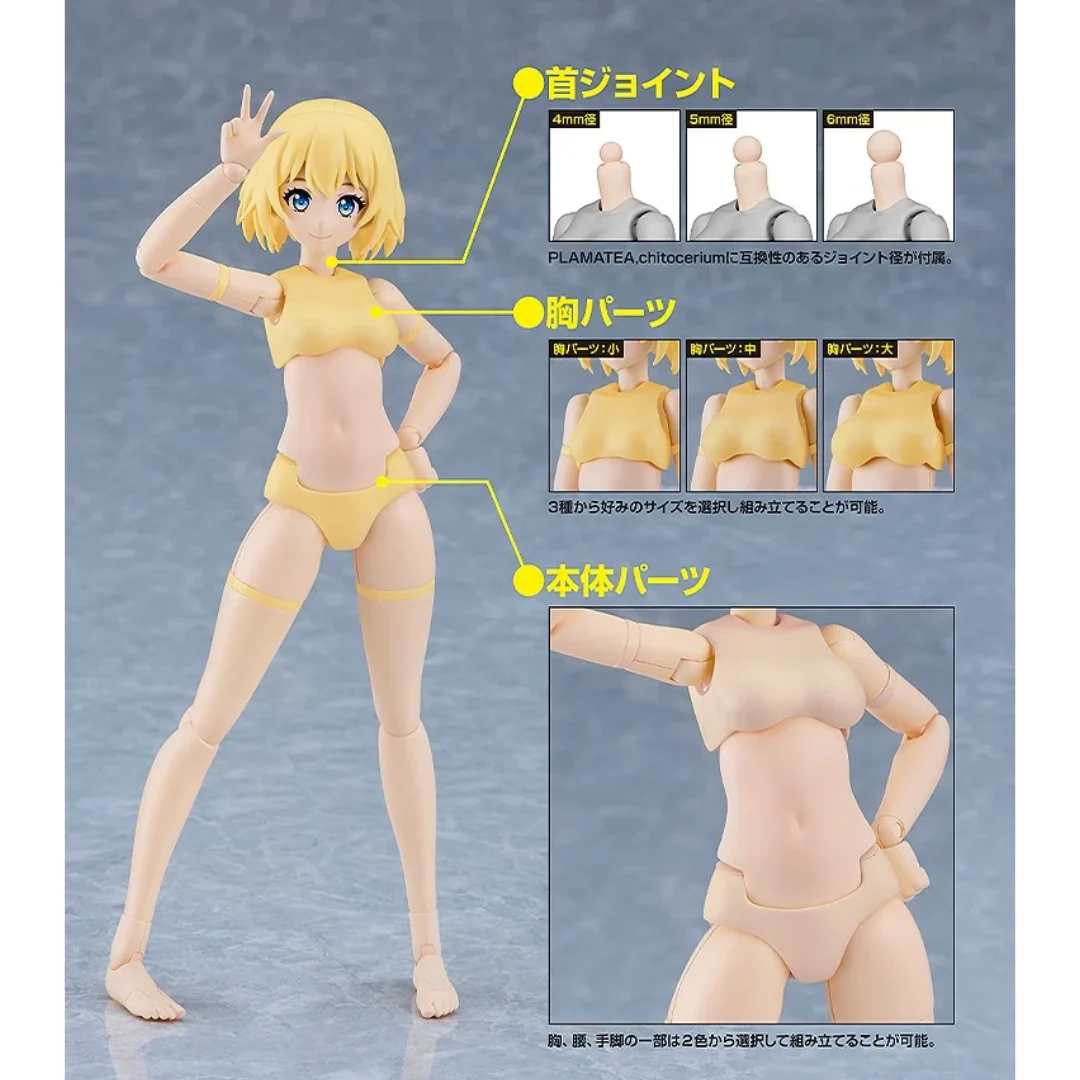 PLAMATEA - Muse Body: Ichika B Type [PRE-ORDER] (RELEASE JAN26) - Image 6